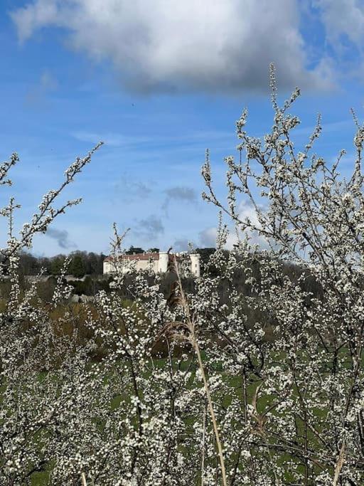 Maison Ray Sur Saone Ray-sur-Saone Exterior foto